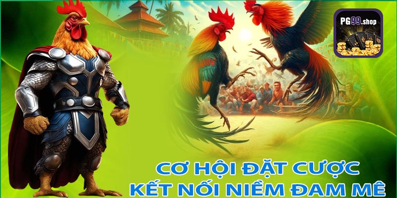 Cơ hội đặt cược - Kết nối niềm đam mê