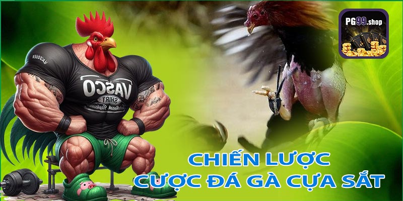 Kỹ năng và chiến lược khi chơi đá gà cựa sắt tại pg99