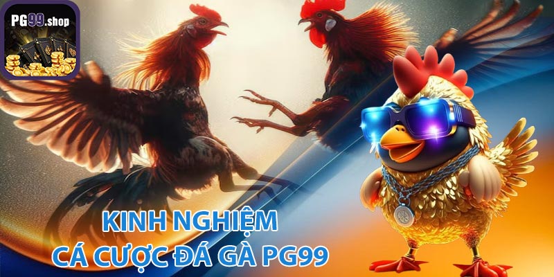 Kinh nghệm đặt cược hiệu quả tại đá gà PG99